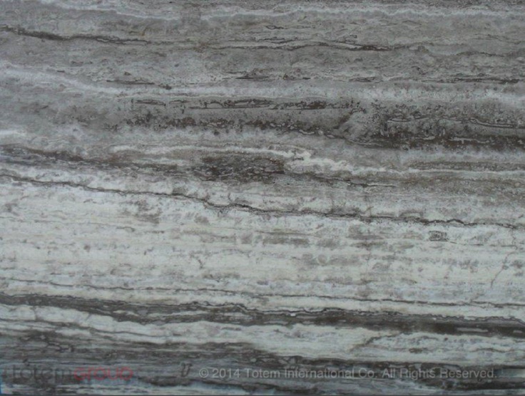 TGTR 312 - Silver travertine (Gray )